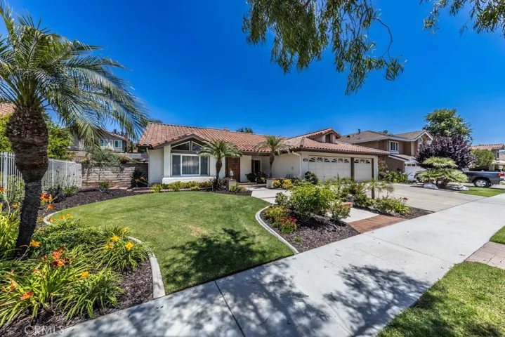 Nice softscape front yard.