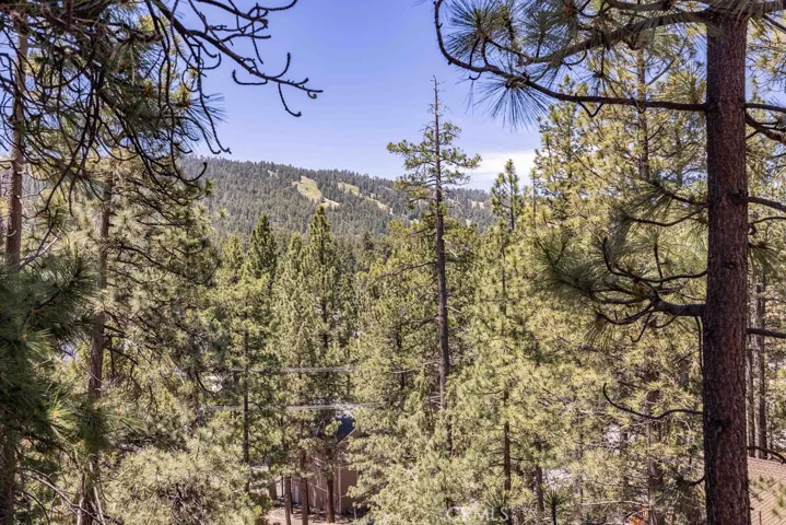 42625 Alta Vista Avenue, Big Bear, California 92315