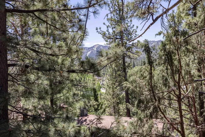 42625 Alta Vista Avenue, Big Bear, California 92315