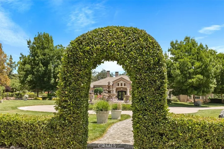 artistic hedge