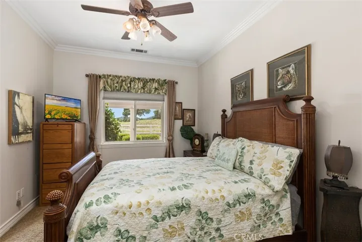 secondary bedroom with ceiling fan, crown molding and walk-in closet