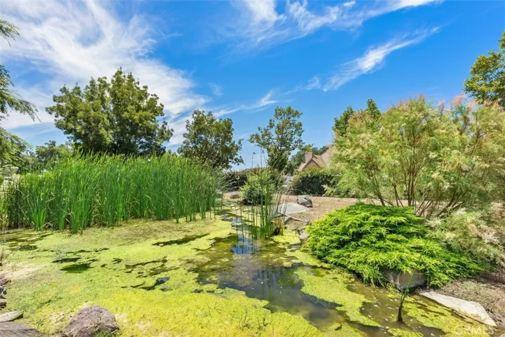 majestic pond