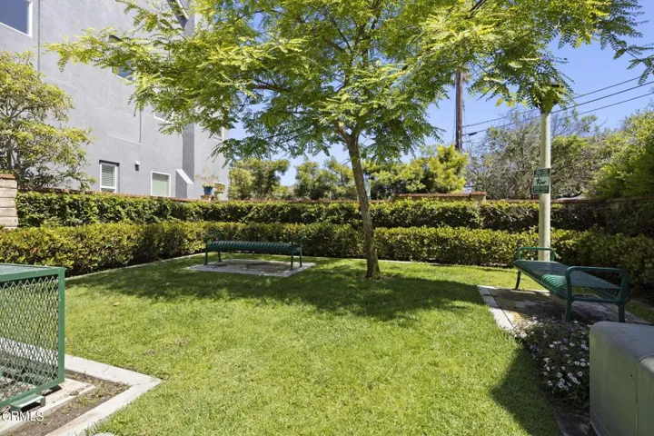 HOA Dog Area