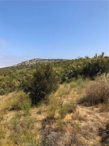 View of parcel.