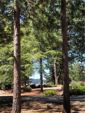 View from where the home site might be.