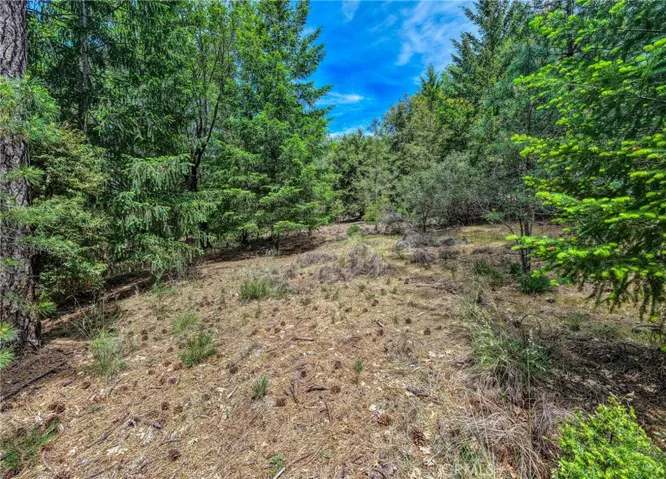 8833 Fox Drive, Cobb, California 95426 — photo 5