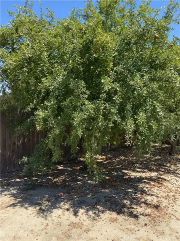 521 28th Street, Bakersfield, California 93301