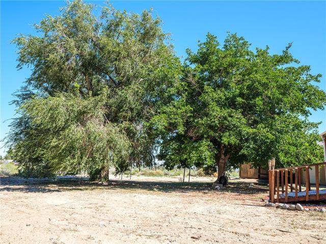 10101 Monte Vista Road, Phelan, California 92371
