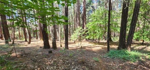 14591 Skyway, Magalia, California 95954