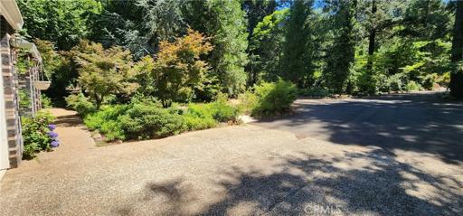 14591 Skyway, Magalia, California 95954