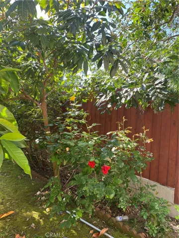 190 N Lima Street, Sierra Madre, California 91024