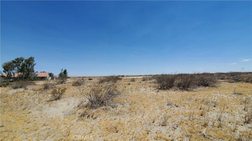 0 Ave S Vicinity 190th St E, Llano, California 93591