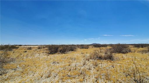 0 Ave S Vicinity 190th St E, Llano, California 93591