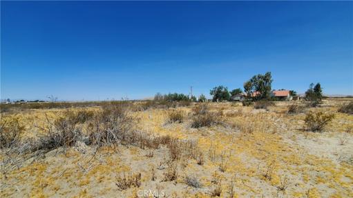 0 Ave S Vicinity 190th St E, Llano, California 93591