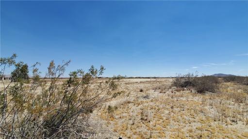 0 Ave S Vicinity 190th St E, Llano, California 93591