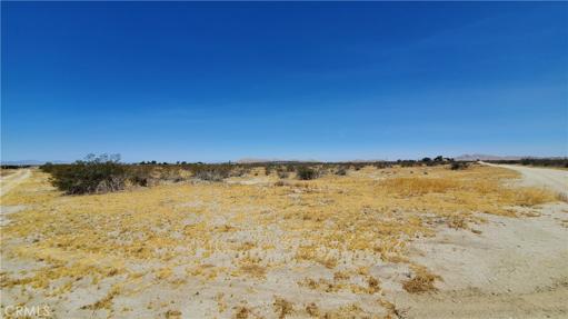 0 Ave S Vicinity 190th St E, Llano, California 93591