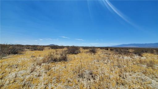 0 Ave S Vicinity 190th St E, Llano, California 93591