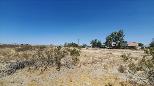 0 Ave S Vicinity 190th St E, Llano, California 93591