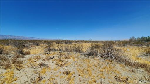 0 Ave S Vicinity 190th St E, Llano, California 93591