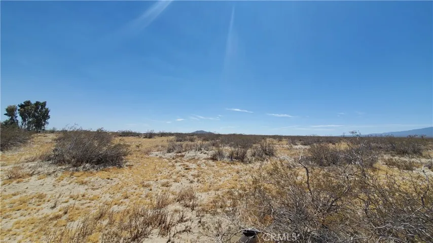 0 Ave S Vicinity 188 St East, Llano, California 93544