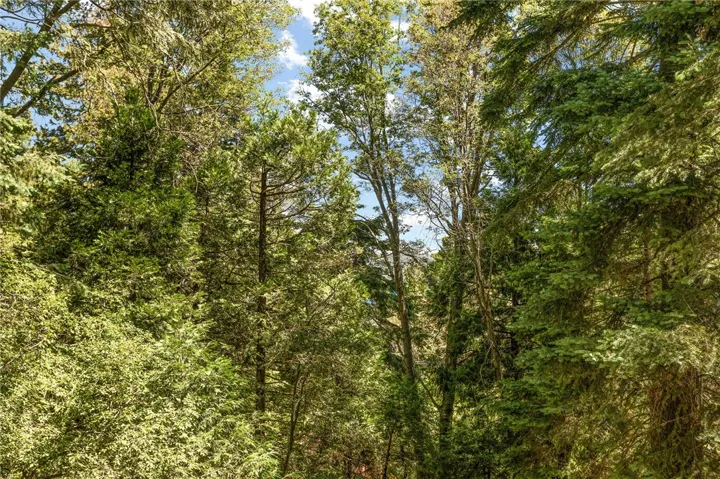 fresh greenery abounds, breath deep.