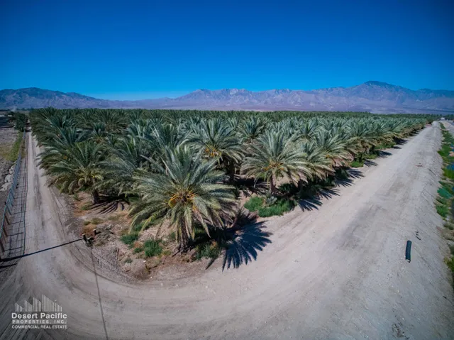 39.12 AC 81st Ave, TH Property Photos (3