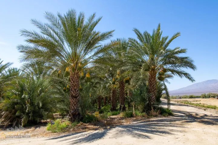 40.74 AC Polk St, TH Property Photos (4)