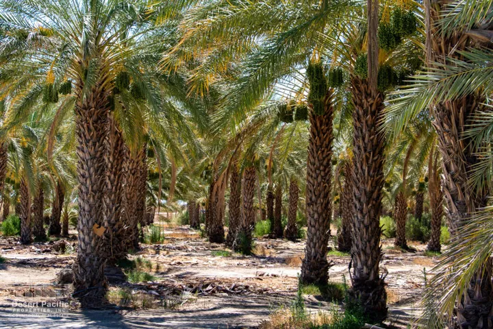 74.67AC-GroundPhotos-web-06