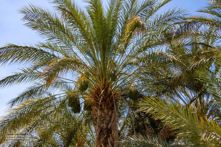 74.67AC-GroundPhotos-web-07