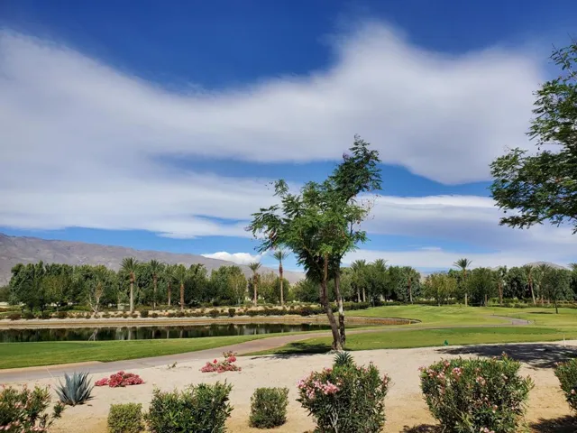 Golfcourse view