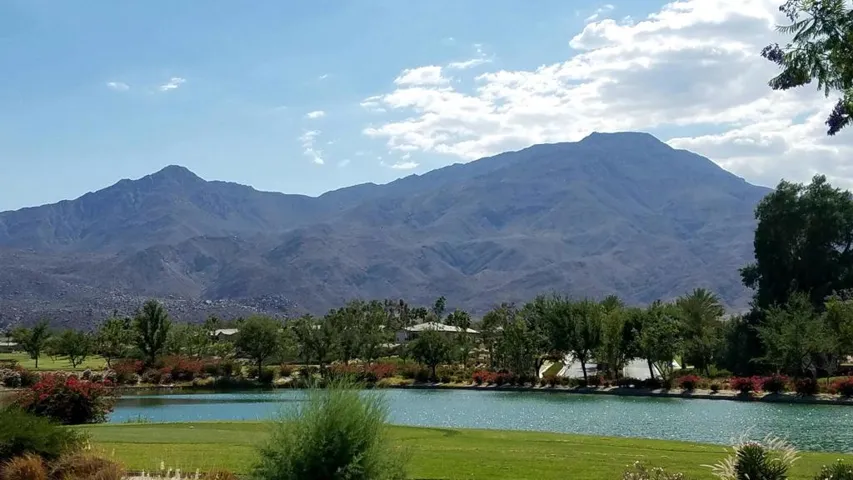 Patio view