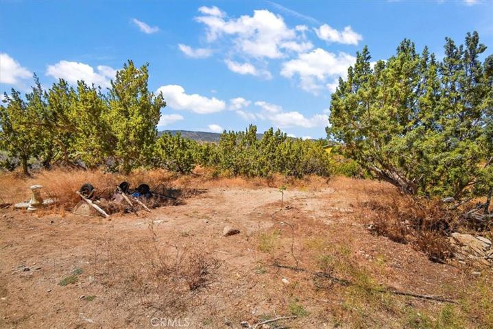 10011 Desert View Rd, Pinon Hills, California 92372