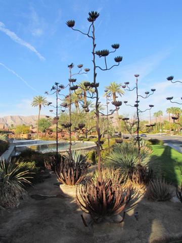 Metal Century Agave Sculpture