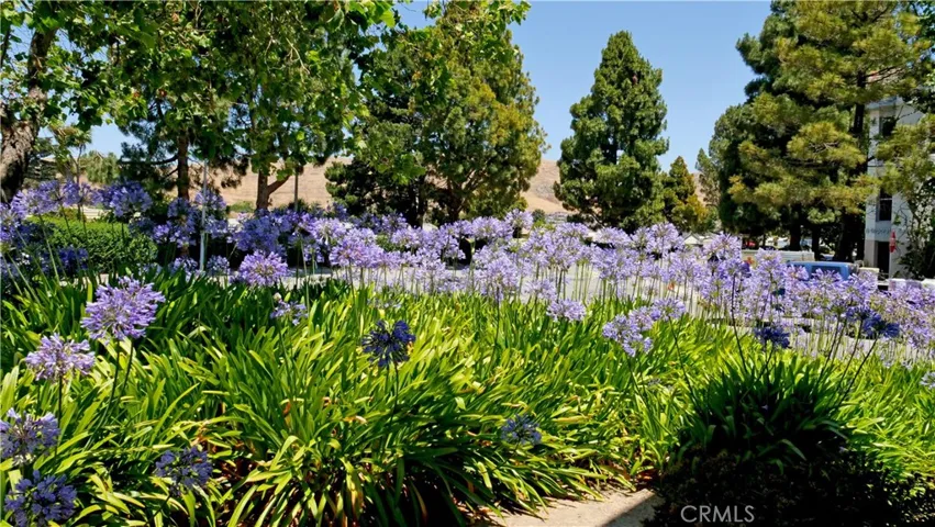 183 Prado Road 110, San Luis Obispo, California 93401