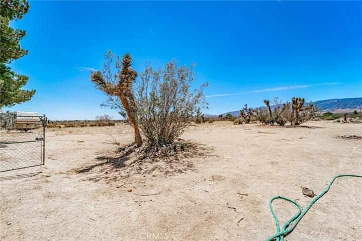 237 Joshua Hills Road, Pinon Hills, California 92372