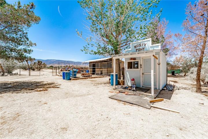 237 Joshua Hills Road, Pinon Hills, California 92372
