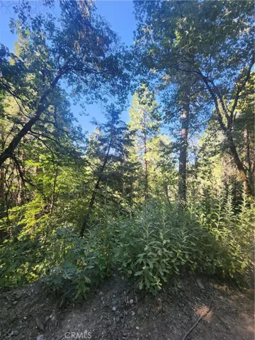 0 Forest Drive, Cedarpines Park, California 92322