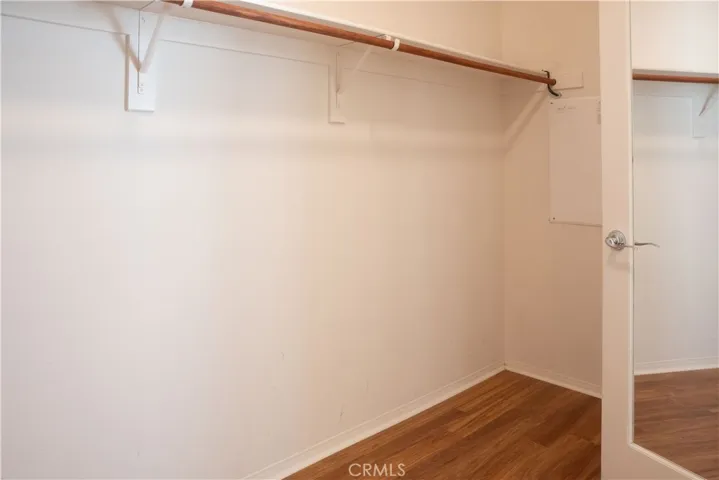 master walk-in closet 2