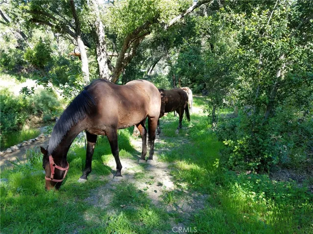 28570 Williams Canyon Road, Silverado Canyon, California 92676
