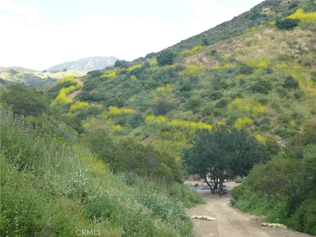 28570 Williams Canyon Road, Silverado Canyon, California 92676