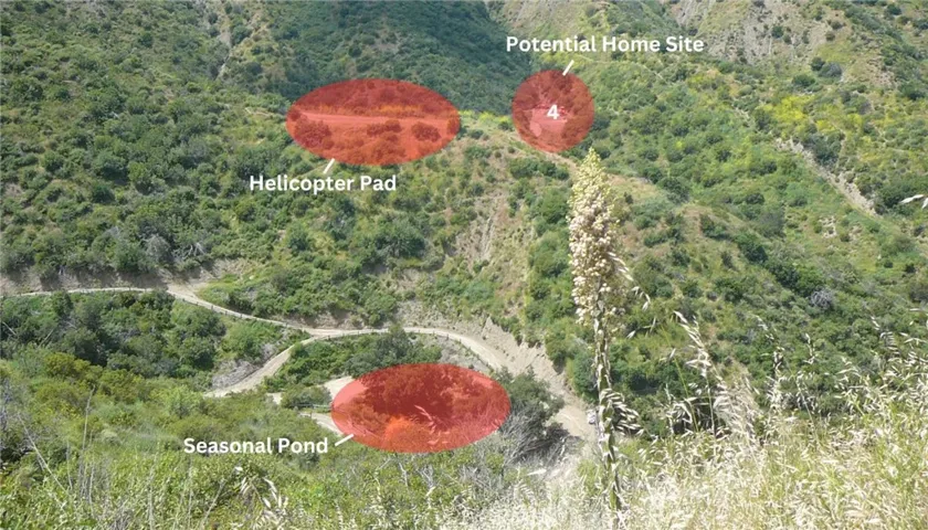 Potential Home Site #4, Helicopter Pad, and Seasonal Pond