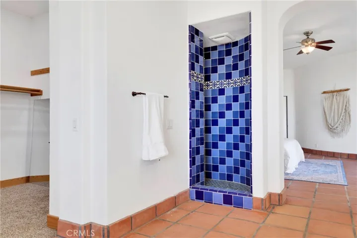 Master Shower enclosure