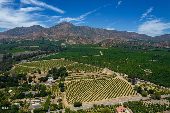 DJI_0667