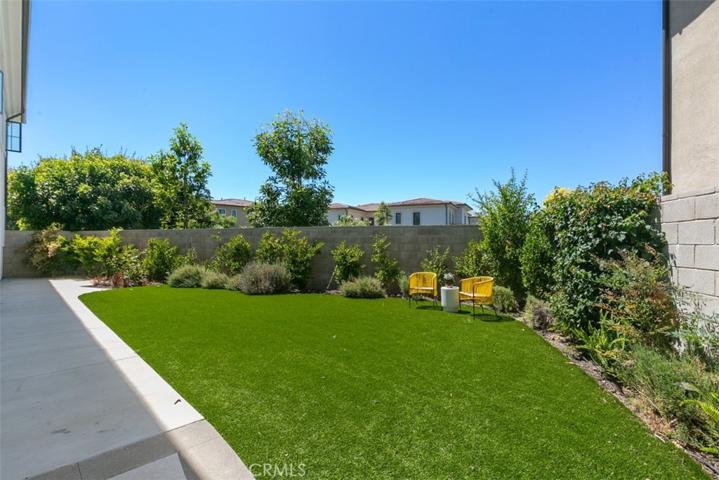 Side Yard