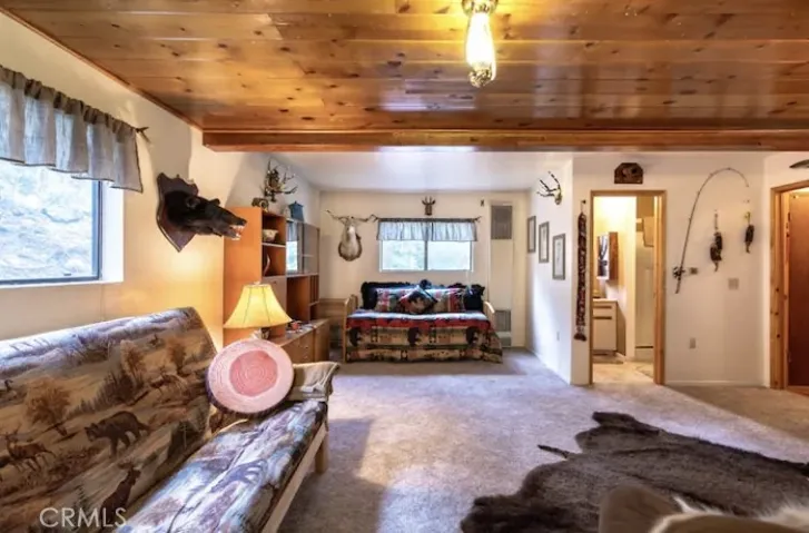 41544 Summit Drive, Forest Falls, California 92339