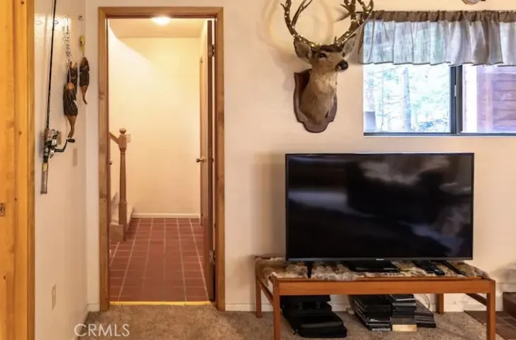 41544 Summit Drive, Forest Falls, California 92339
