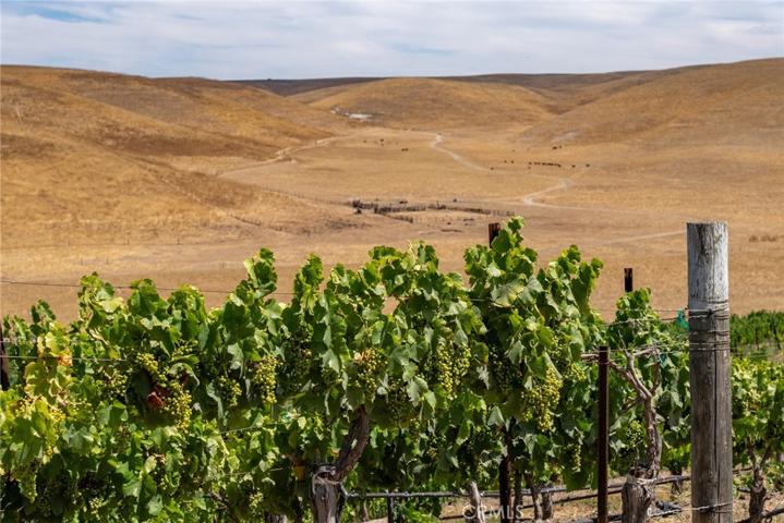 50577 Wild Horse Road, King City, California 93930