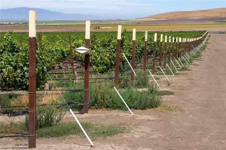 50577 Wild Horse Road, King City, California 93930