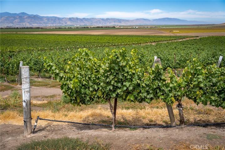 50577 Wild Horse Road, King City, California 93930