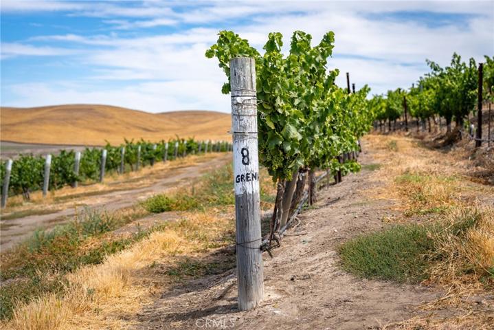 50577 Wild Horse Road, King City, California 93930